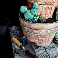 Cactus pot cake