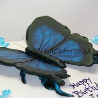 Large Butterfly Cake