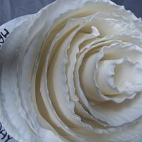 The rose ruffle cake
