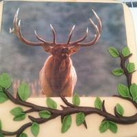 Elk Hunter birthday 