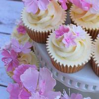 cherry blossom cupcakes 