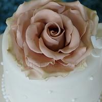 Amnesia rose mini cake 
