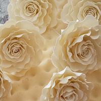 Ivory roses xx