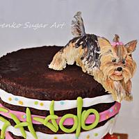 Inverted cake with a small Yorkie
