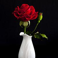 Red gumpaste rose