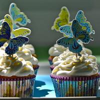 Vanilla Butterfly Cupcakes