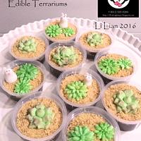 Edible Terrariums