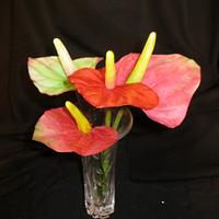 anthurium