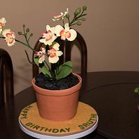 Orchid Flower Pot Birthday Cake