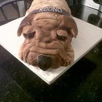my first dog cake