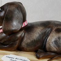 Dachshund (Sausage Dog) Cake