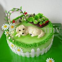 Cake garden with a dog