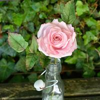 Pink sugar rose