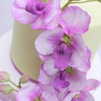 Orchid Cake 