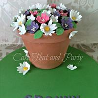Flower pot cake 