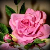 claret rose  in gum paste