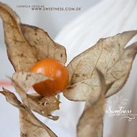 Wafer-Paper Physalis