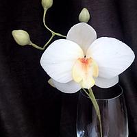 My sugar orchids