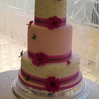 Farmers Daughter - Wedding Cake
