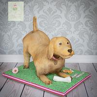 Playful dog cake