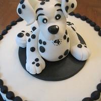 Dalmatian cake