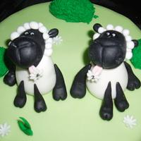 Sheep Cake