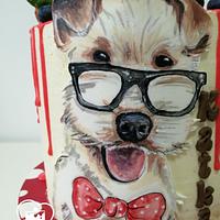 a dog wearing glasses