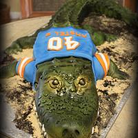 Florida Gators Cake