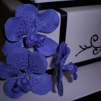 Purple Vanda Orchid Wedding