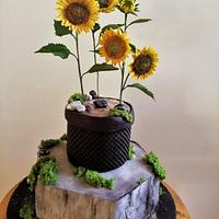 Sunflower cake Sunflower cake