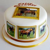 Suffolk Punch Horse edible image cake