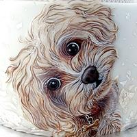 Hand painted dog cake ... 