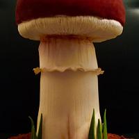 Mushroom cake