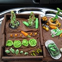 Chocolate allotment - vegetable patch