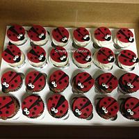 Ladybug Cake and Cupcakes