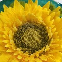 sunflower gelatin flowers