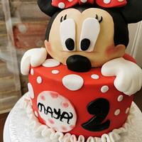 Minnie's cake 