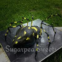 3d Spider Cake