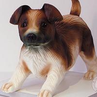 Little dog cake Little dog cake