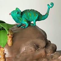 Colorful Chameleon Cake