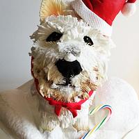 Westie at christmas
