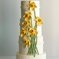Daffodil spring cake