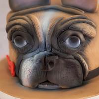 French Bulldog cake
