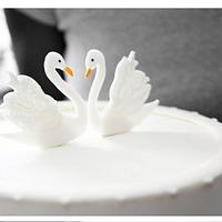 Swans Cake