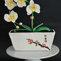 orchid chinese vase 