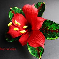  Red amarillis, maranta leaves in gum paste