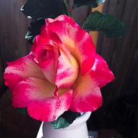 Maurice Utrillo sugar roses.