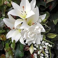White White