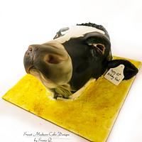 Holsteins Calf Head