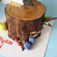 Wood cake; tree stump cake